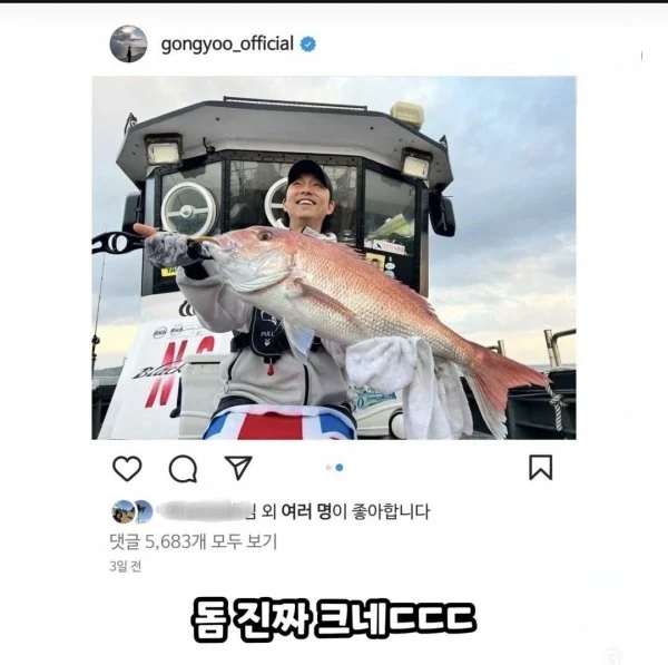 인스타에 큰돔 사진 올렸다가 지운 공유_1.webp