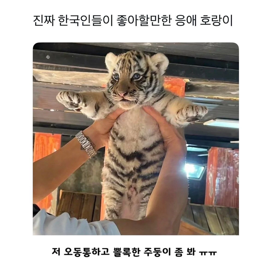한국인이 좋아할만한_1.webp