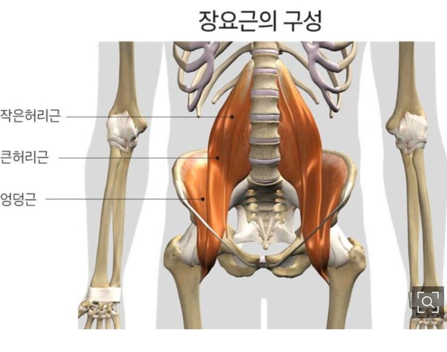 세계 최고 보디빌더가 무시한 이 근육...모른 채 방치했다간 허리 망친다_1.jpg