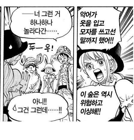 원피스 '상식을 논하면 안되는 세계'_1.jpg