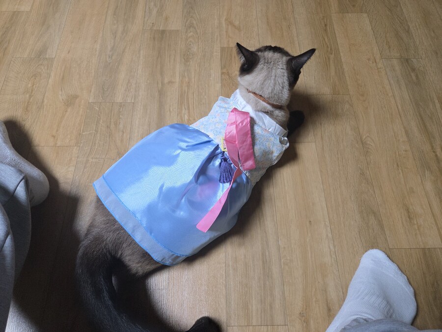 한국에서 태어난 태국 오토코노코가 여자 한복 입은 사진_1.jpg