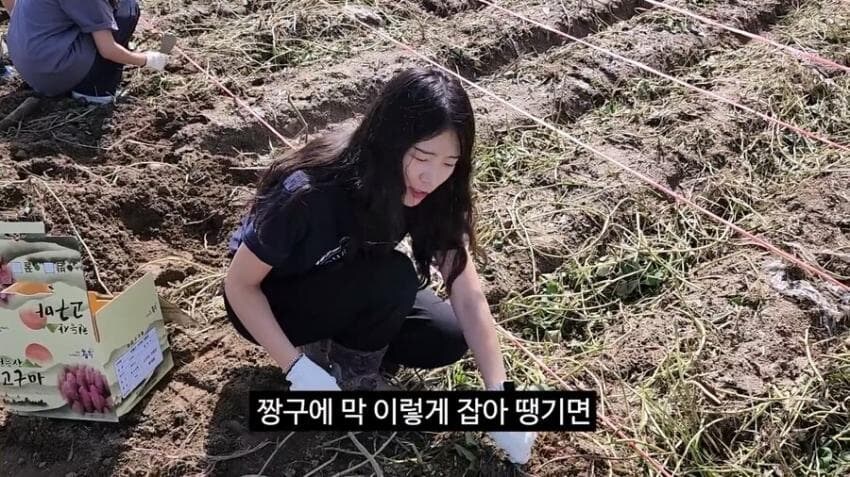 자동사냥중인 충주맨 근황_5.jpg