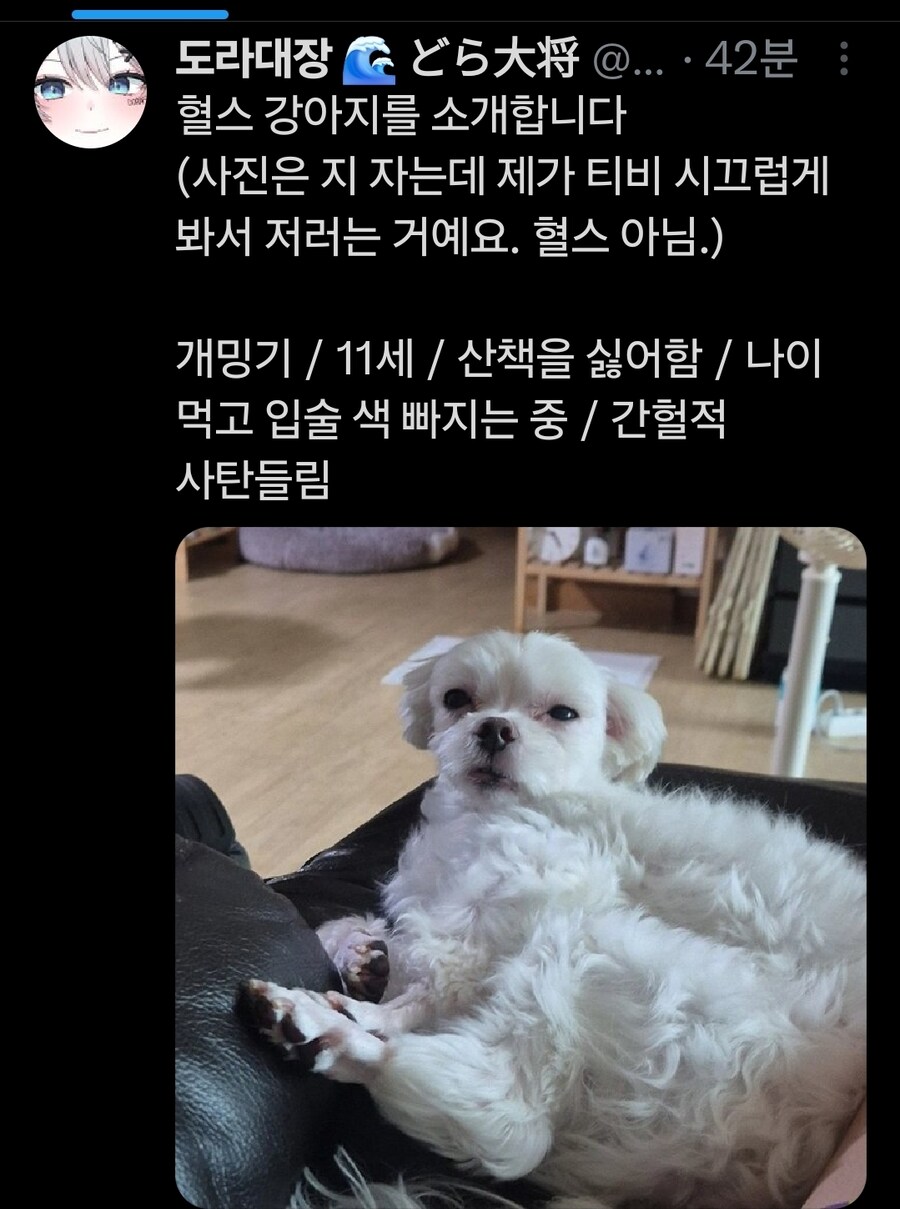 버튜버)혈당스파이크 온 멍멍이_2.jpg