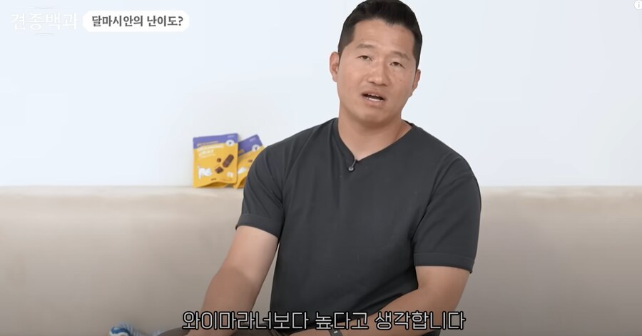보더콜리보다도 더하다는 견종.JPG_6.png