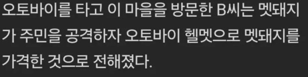 지나가는 선비 현황._2.png