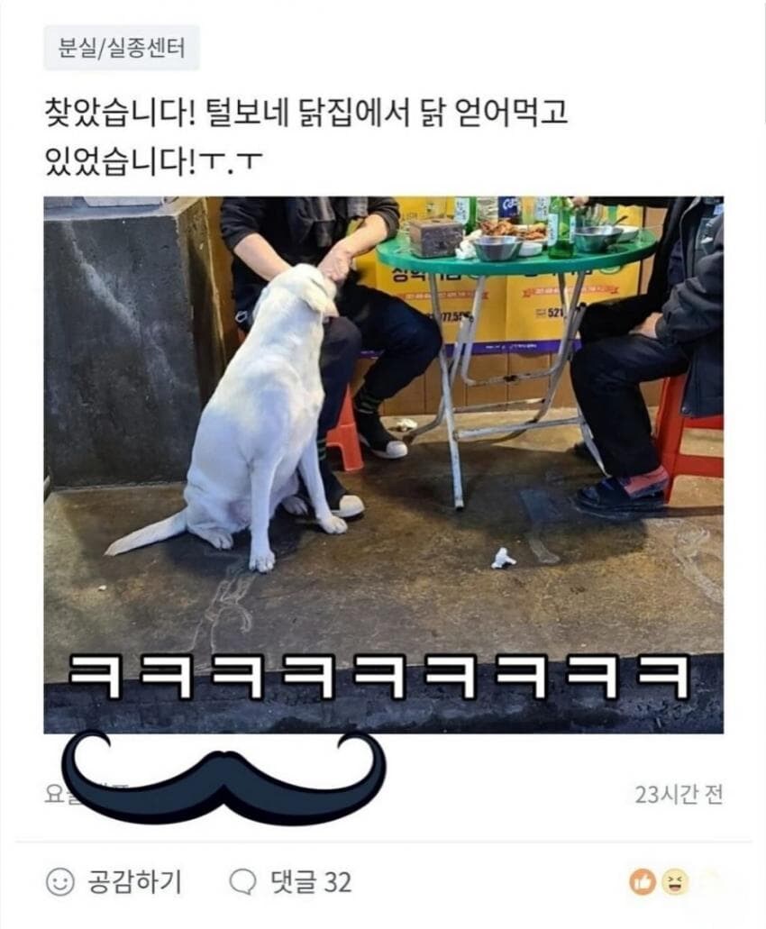 댕댕이를 찾습니다_2.jpg
