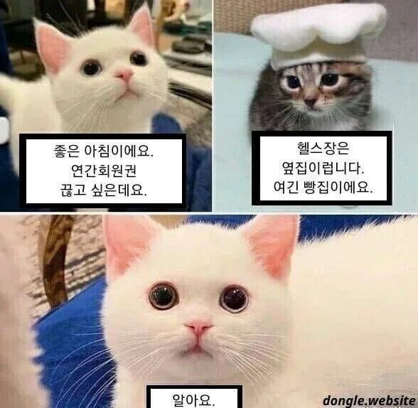 연간회원권 끊는 만화.jpg_1.jpg