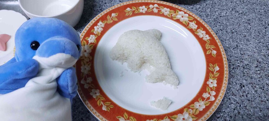 세상 행복한 제 돌고래 카레 보고 가세요_1.jpg