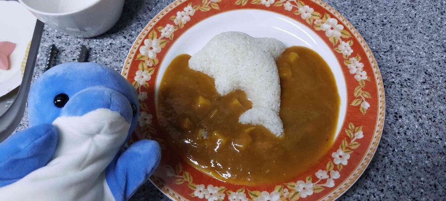세상 행복한 제 돌고래 카레 보고 가세요_2.jpg