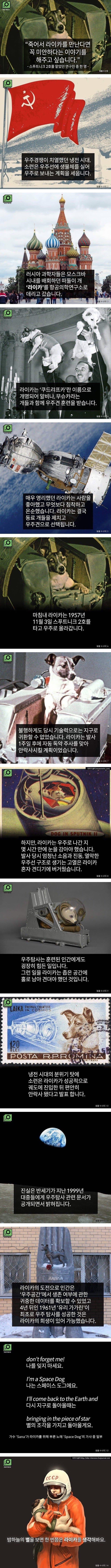 인간보다 먼저 우주에 간 댕댕이_1.jpg