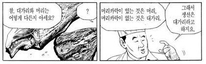 대가리와 머리의 차이점_1.jpg