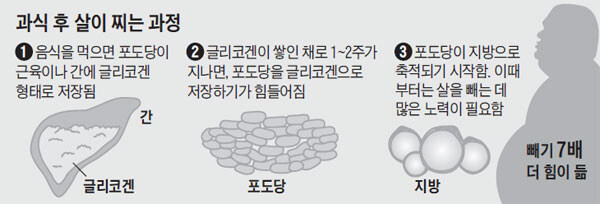 살찌는 과정_2.jpg