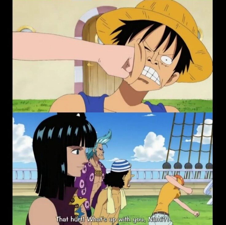 원피스 밀짚모자 해적단이 선장을 단속하는 방법_6.jpg