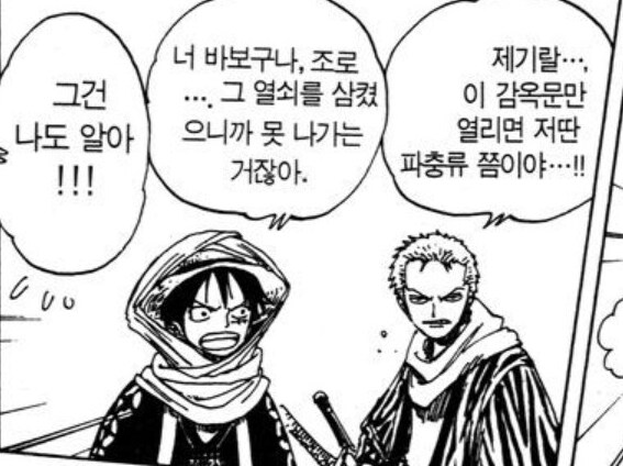 원피스) 루피가 유일하게 자기보다 멍청하다고 생각하는 인물_1.png