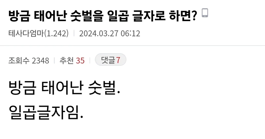 '방금 태어난 수벌'을 일곱 글자로 하면?_1.webp