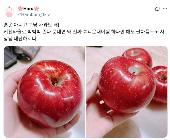 백설공주는 사과를 먹을 수밖에 없었다.jpg_4.png