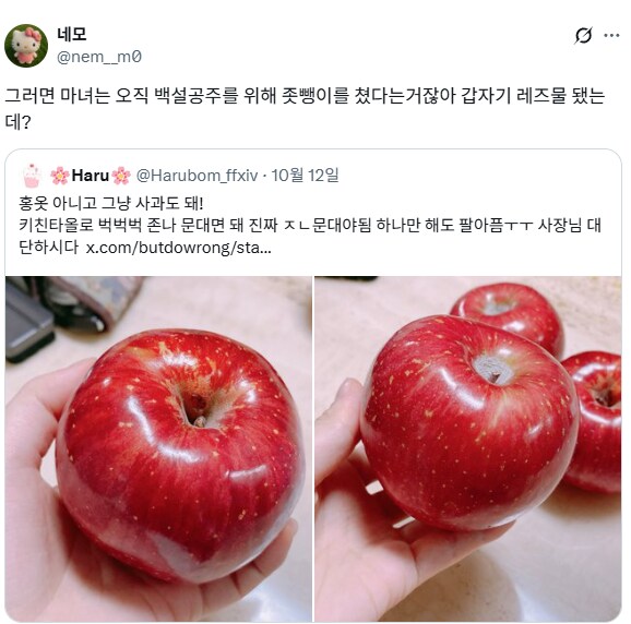 백설공주는 사과를 먹을 수밖에 없었다.jpg_5.png