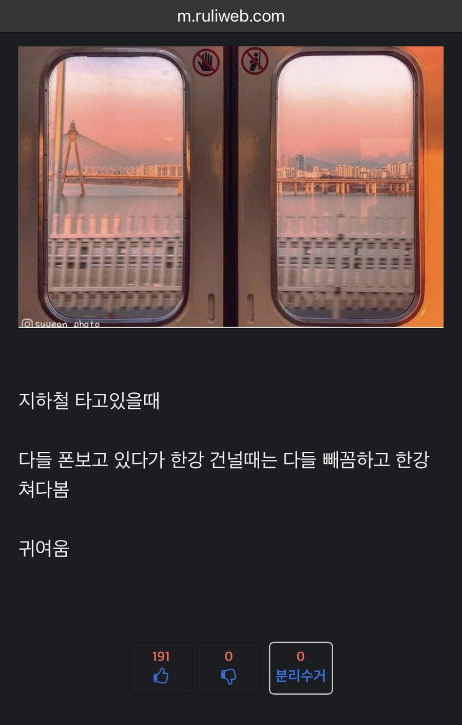 사실 서울 사람들도 은근히 한강 좋아함_1.jpg