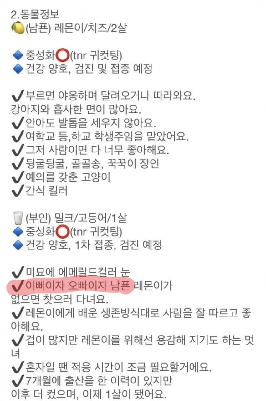 아빠이자 오빠이자 남편인_2.jpg