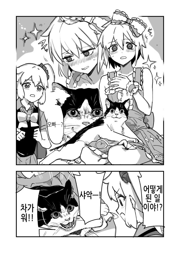 주인옷 사온 고양이_9.jpg