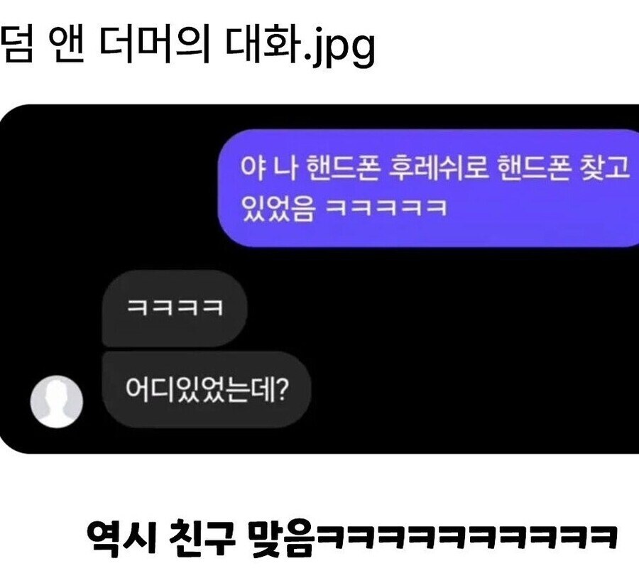 덤 앤 더머지만 역시 이새낀 내 친구가 맞음.jpg_1.jpg