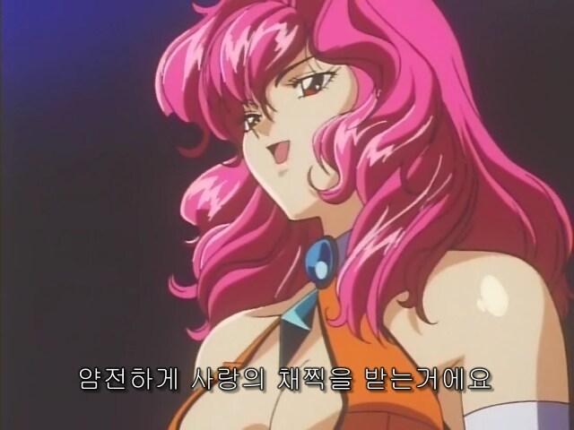 90년대 한국 공중파에서 패기있게 방영 했던 애니_4.jpg