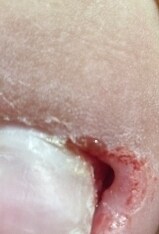 혐) 유게이의 피와 땀_1.jpg