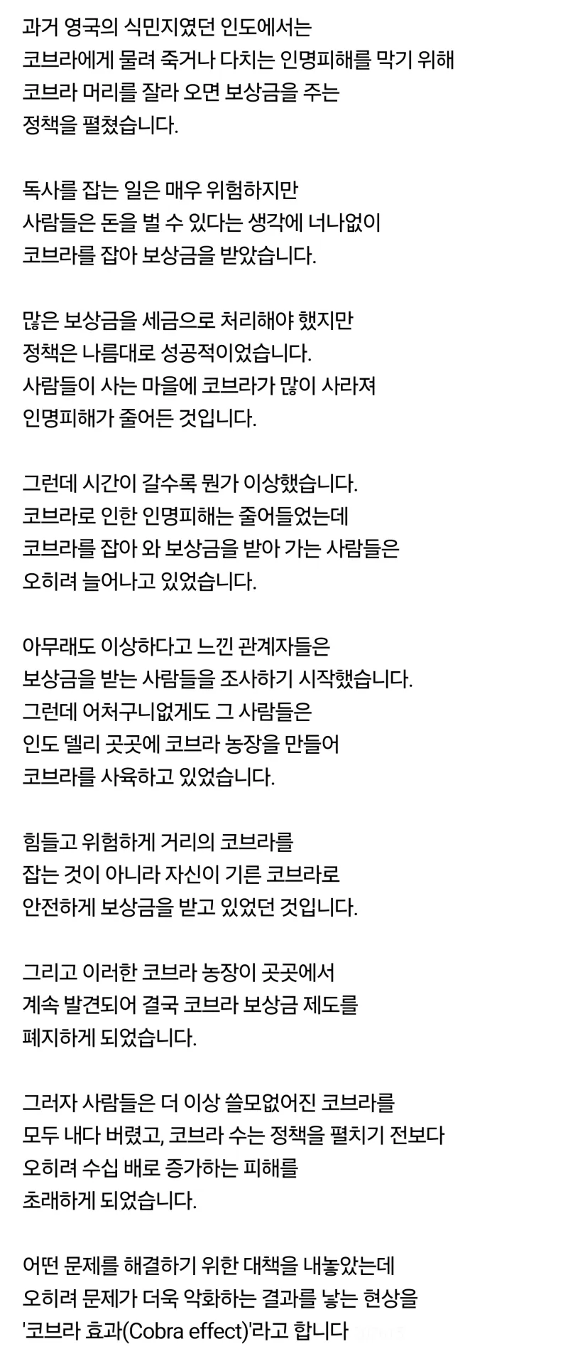 코브라 효과_2.webp