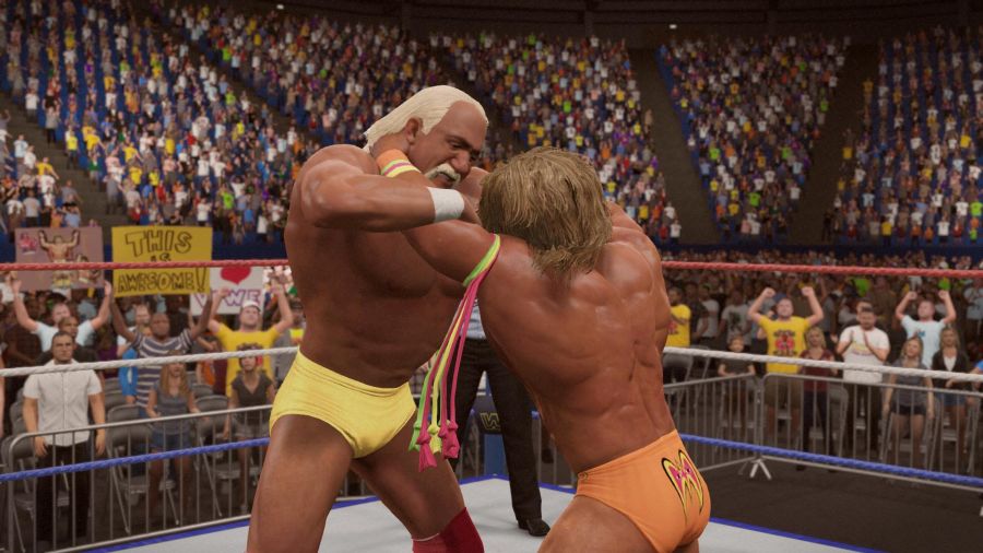 WWE 2K15_10.jpg