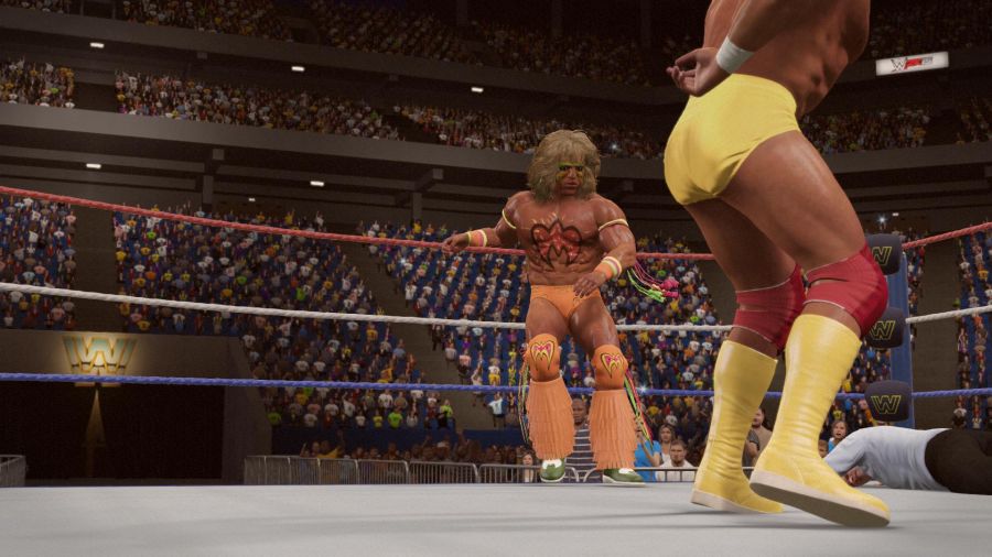 WWE 2K15_21.jpg