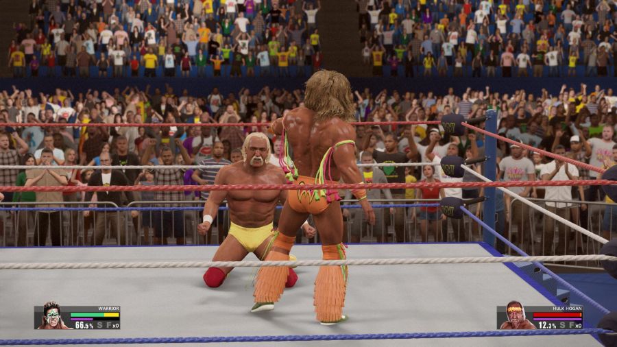 WWE 2K15_27.jpg