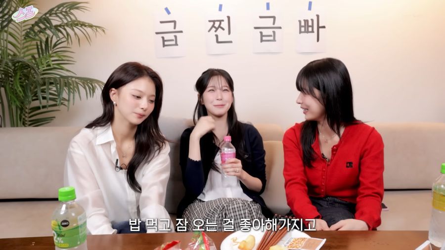 의외로 여자아이돌이 좋아하는것_9.png