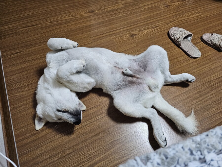 저는 범법자입니다_3.jpg