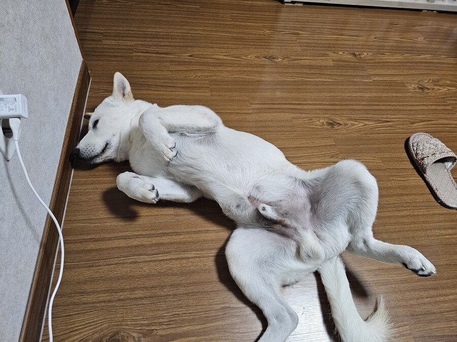 저는 범법자입니다_4.jpg