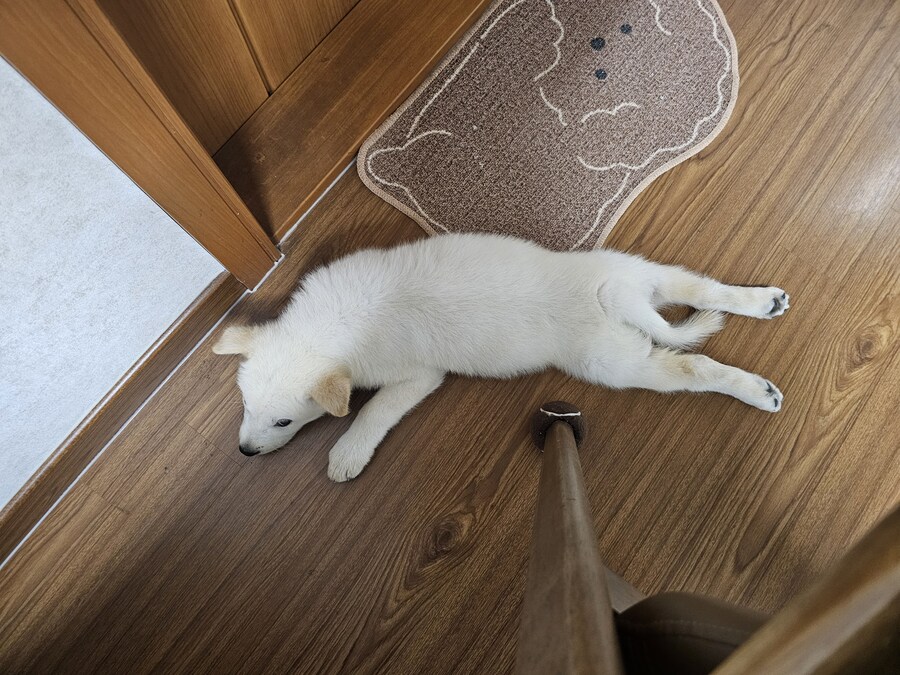 저는 범법자입니다_8.jpg