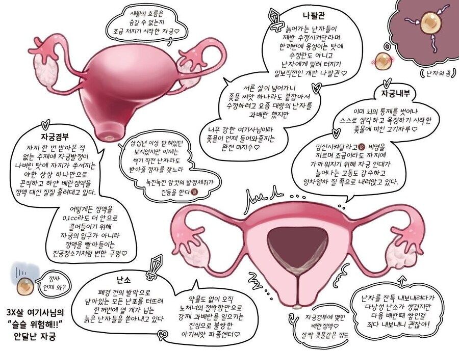 이거 설마 짤리냐??_1.jpg