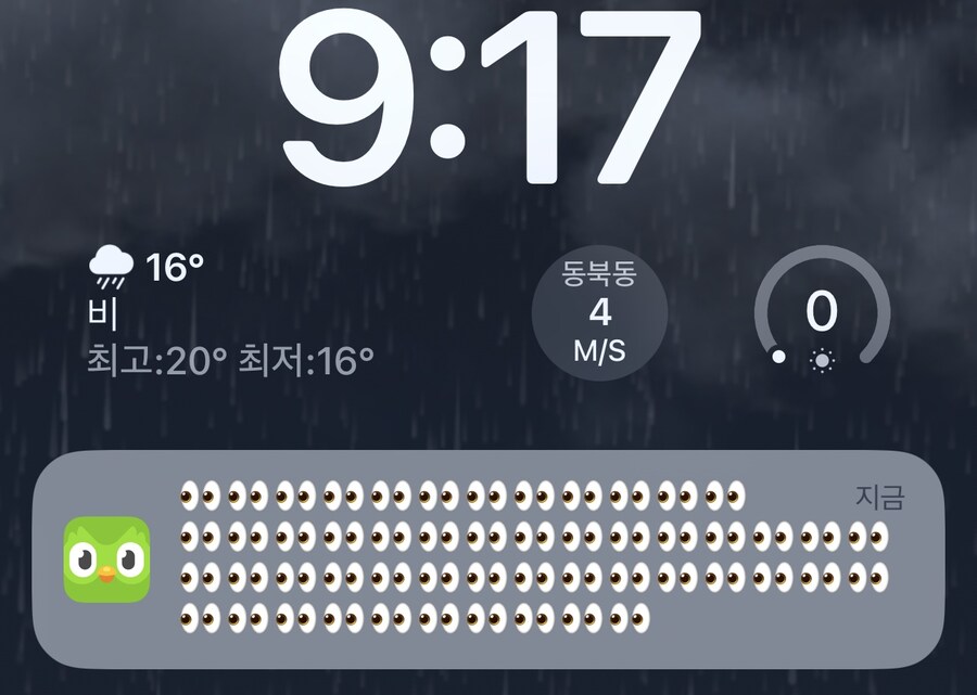 듀오링고 이녀석 공부 안한다고 ㅈㄴ 꼽주네_1.jpg