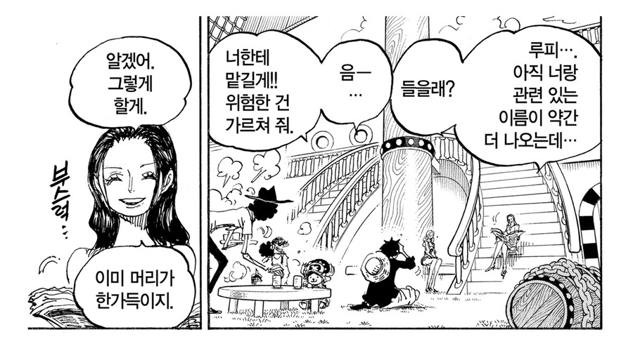 원피스) 지 혼자만 알거 다 알고 다니는게 특기인 루피_1.jpg