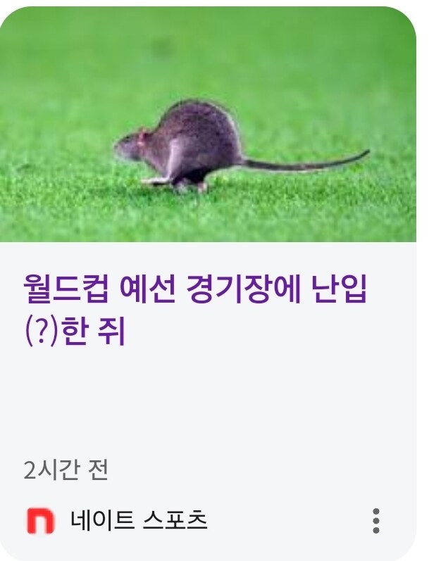 ? : 축구같은 시시한 스포츠는 그만 보고_1.jpg