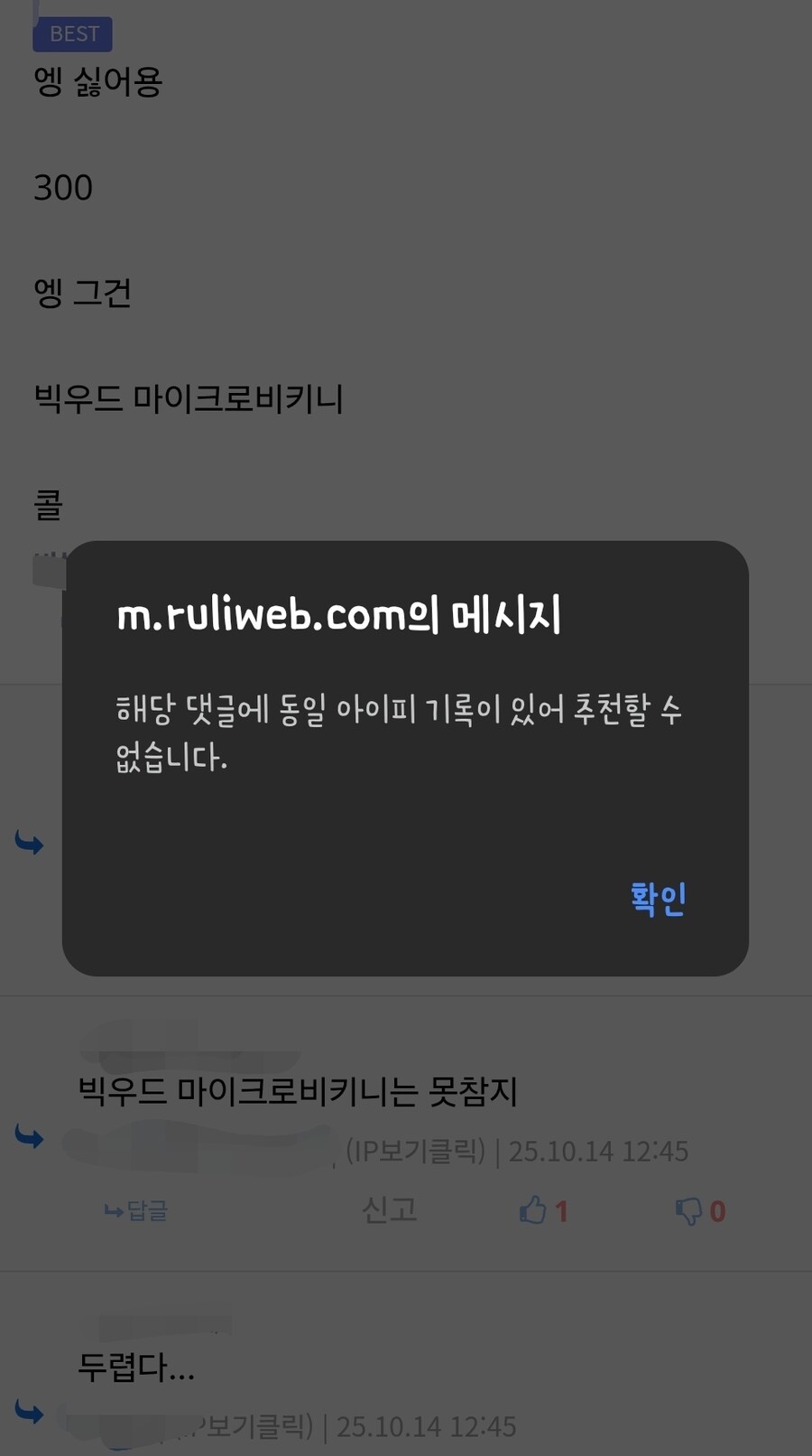 빅우드 마이크로비키니는 못참긴 해_1.jpg