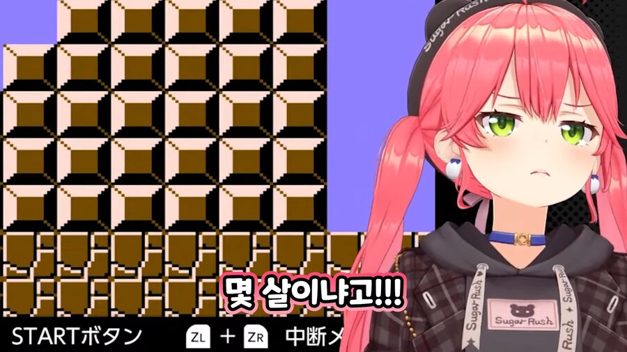 버튜버)"사람은 정곡을 찔리면 나이를 들먹인다"_7.png