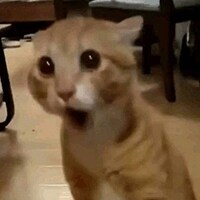 개인적으로 유게에서 제일 혐오하는 부류_1.png