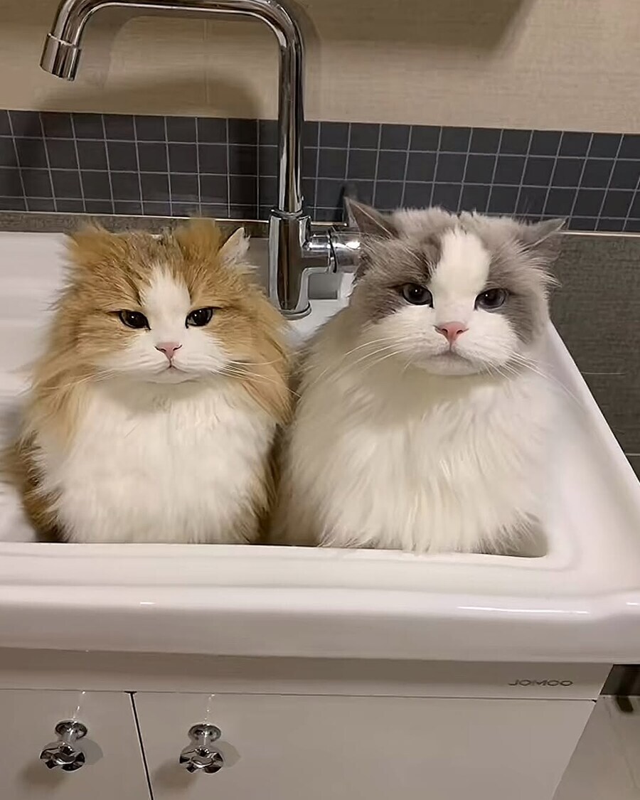 롤) 오늘이 티원 IG 그날이라고?_1.jpg