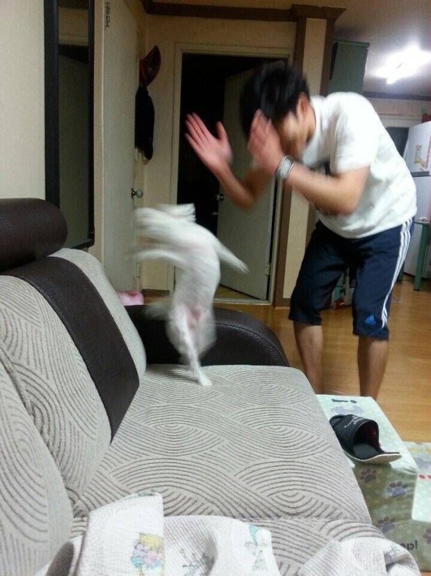 속보)의 진정한의미_1.jpg