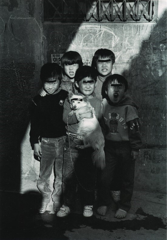 60~70년대 한국의 강아지 사진들.JPG_7.jpg
