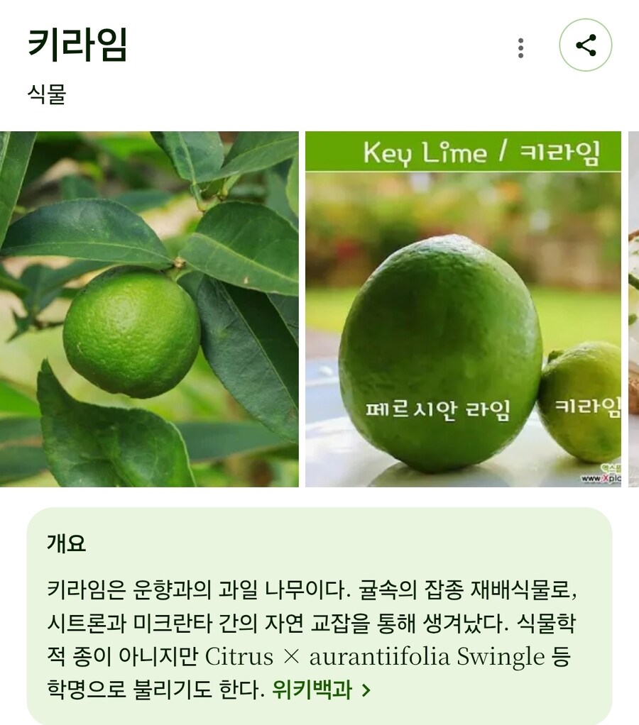 님들 ㄷㄷㄷ 야가미 라이토의 정체가 뭔지 암?_2.jpg