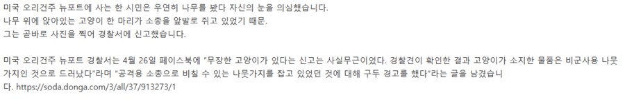 나무위에서 소총을 든 고양이를 발견한 사람.JPG_2.png