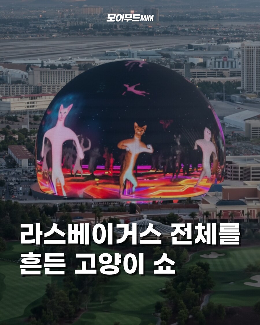 라스베이거스 전체를 흔든 고양이 쇼_1.jpg