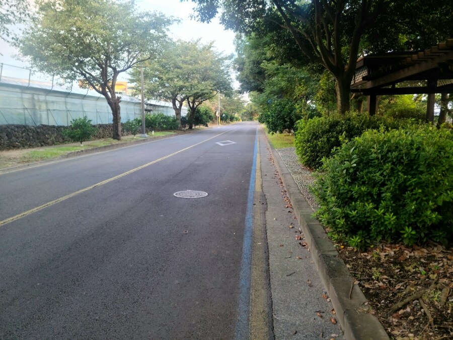 제주 환상 자전거길 234km 도보여행 4일차 -스압주의-_6.jpg