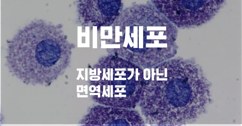 의외로 이름값 못하는 신체 기관_2.png